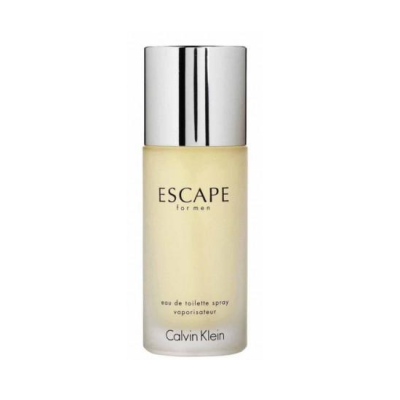 CALVIN KLEIN ESCAPE FOR MEN EDT MASCULINO 100ML