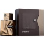 FRENCH AVENUE SPECTRE (MARROM) 80ML