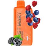 LOST MARY MO 10K FOREST BERRY ENERGY