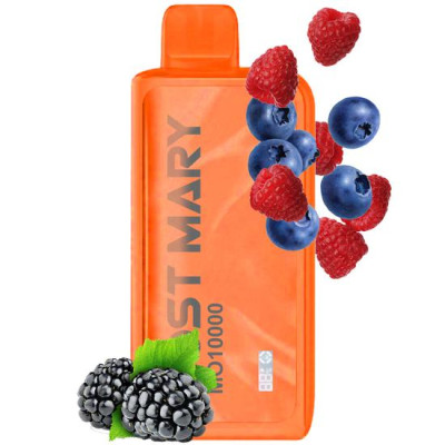 LOST MARY MO 10K FOREST BERRY ENERGY