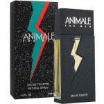 ANIMALE FOR MEN (TRADICIONAL) EDT 100ML